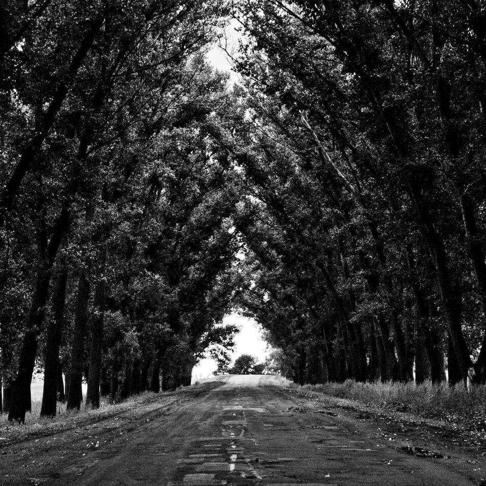 镜像案例库奢护/体验理套装+赠瞬间抗皱神器