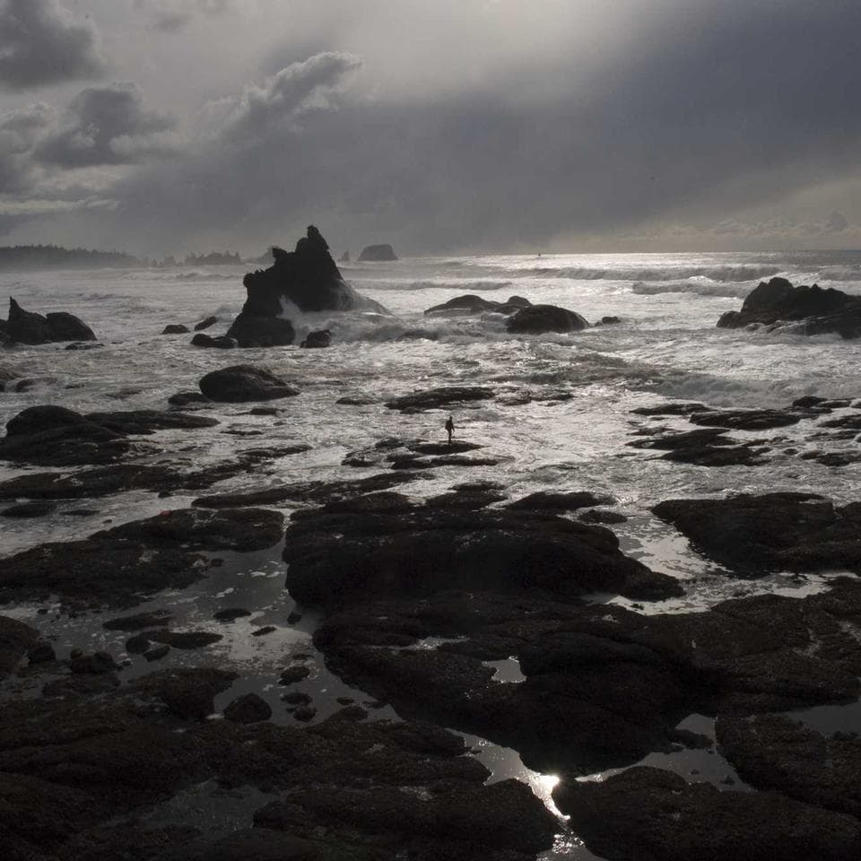 问兰燕窝邂逅试用礼