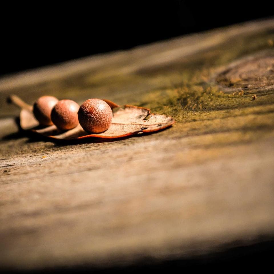 问兰燕窝精萃露